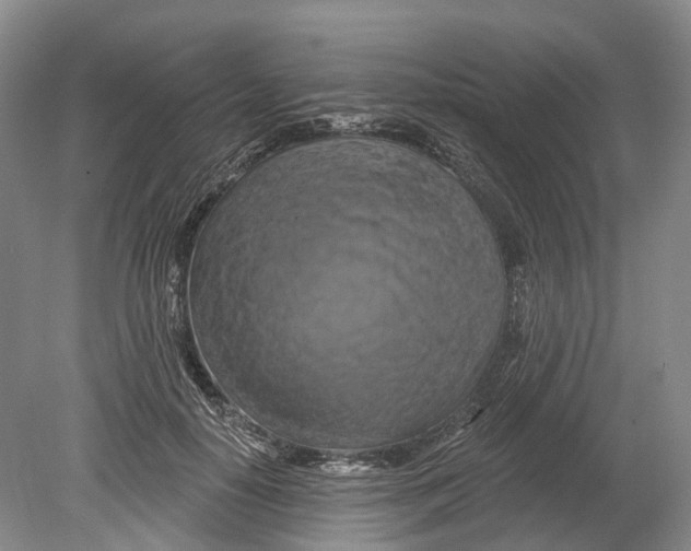 X0000080690650200701051101