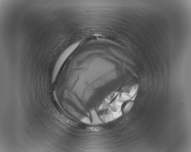 X0000080690654200701051101