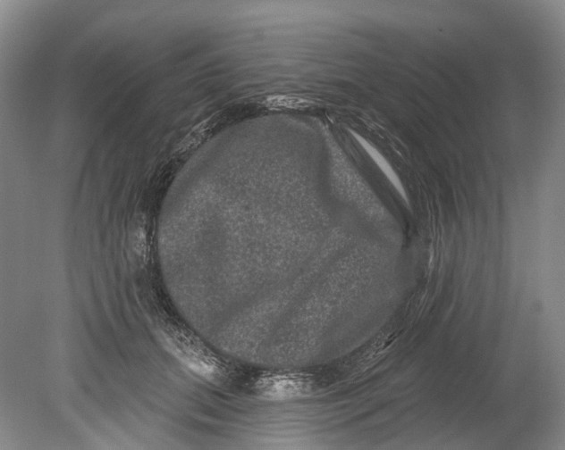 X0000080690655200701051101