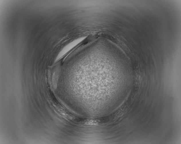 X0000080690656200701051101