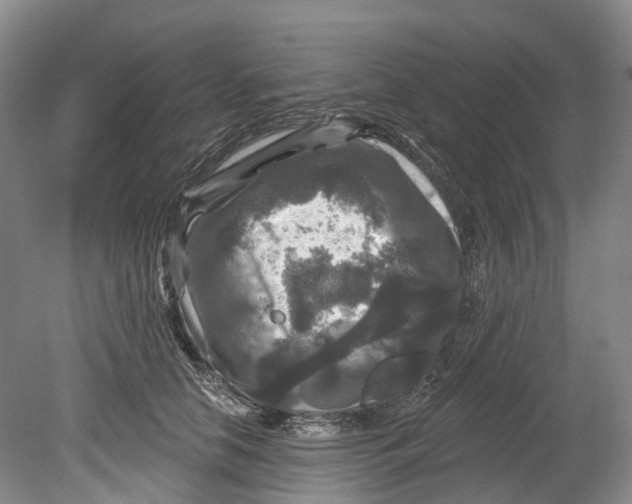X0000080690658200701051101