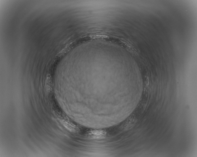 X0000080690659200701051101