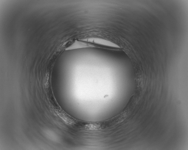 X0000080690660200701051101