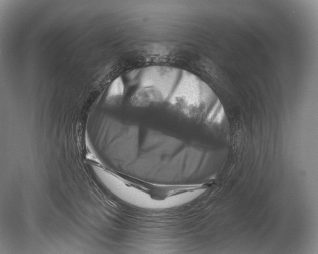 X0000080690661200701051101