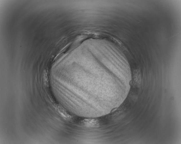 X0000080690667200701051101