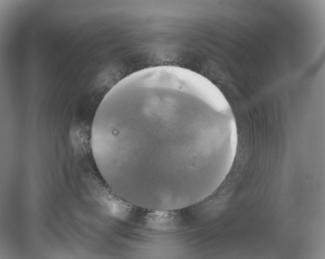 X0000080690672200701051102