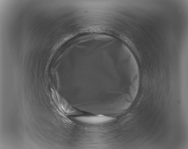 X0000080690673200701051101
