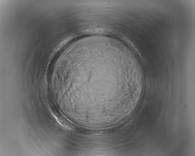 X0000080690674200701051101
