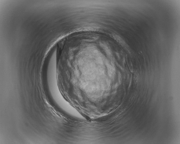 X0000080690676200701051101