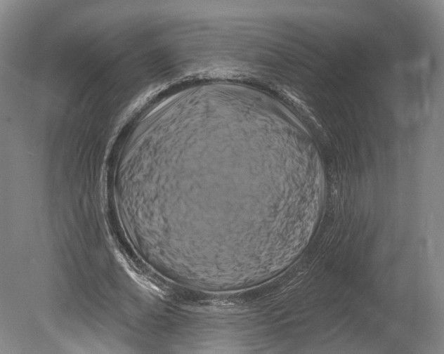 X0000080690678200701051101
