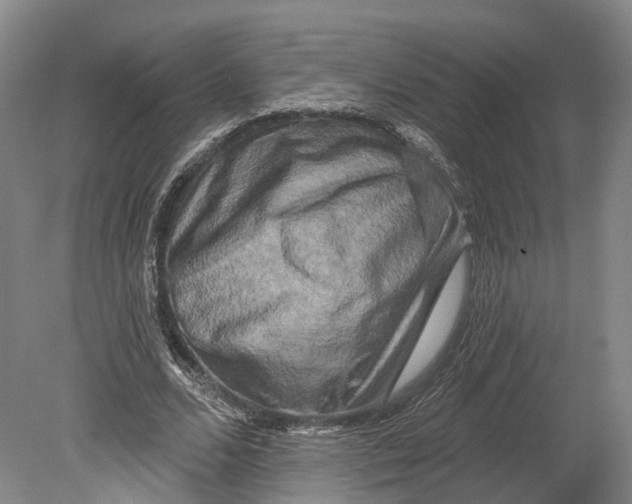 X0000080690680200701051101
