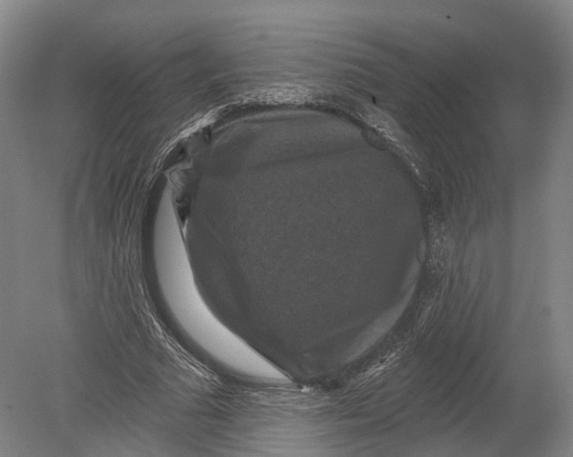 X0000080690681200701051101