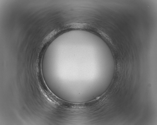 X0000080690682200701051101