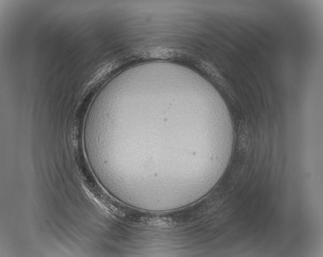 X0000080690683200701051101