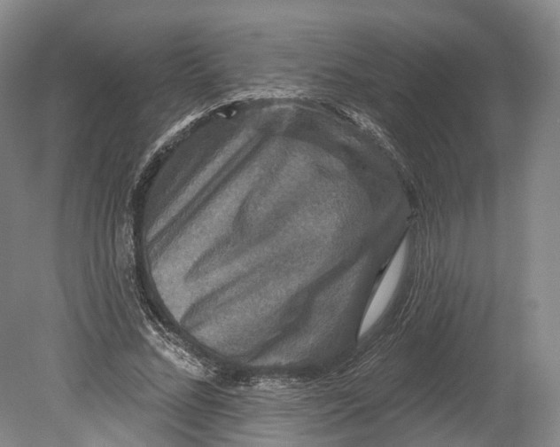 X0000080690684200701051101