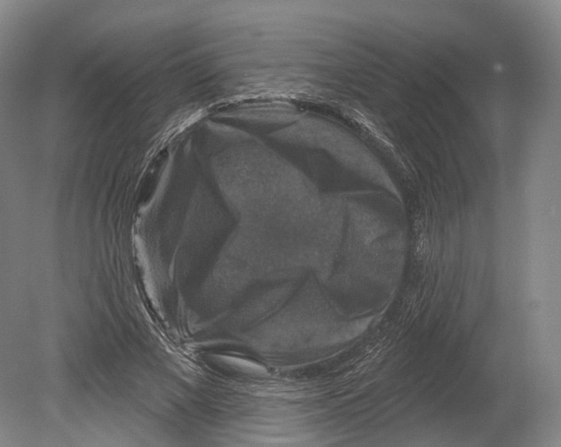 X0000080690685200701051101