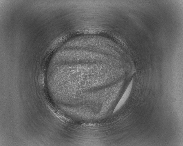 X0000080690687200701051100
