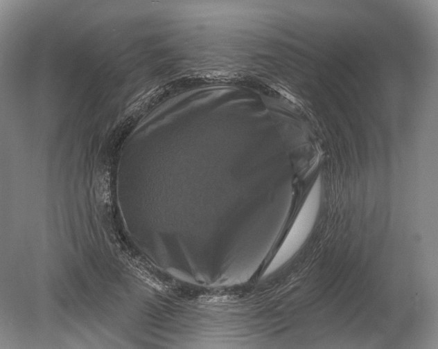 X0000080690689200701051100