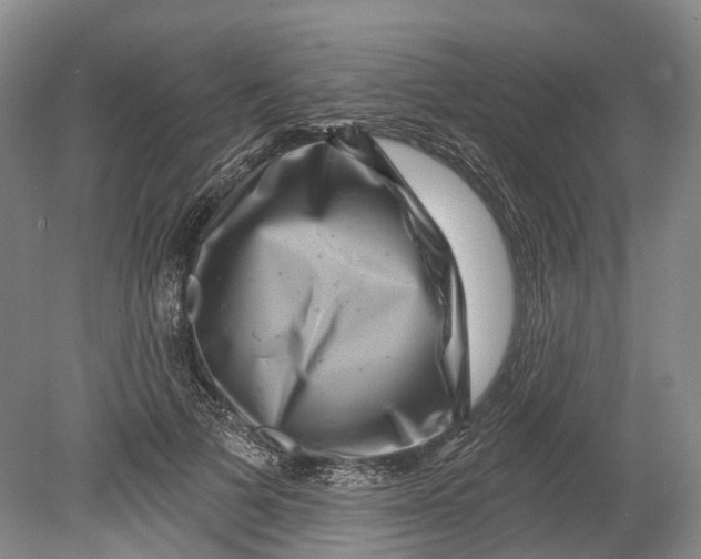 X0000080690697200701051100