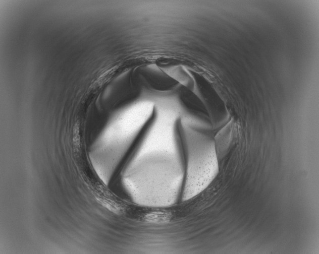 X0000080690700200701051100
