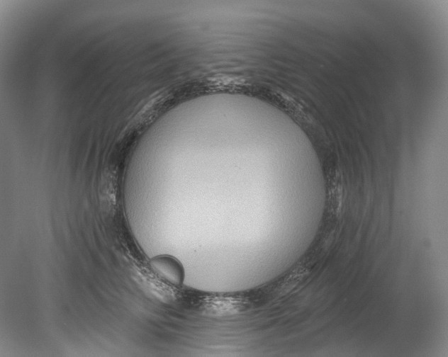 X0000080690710200701051100
