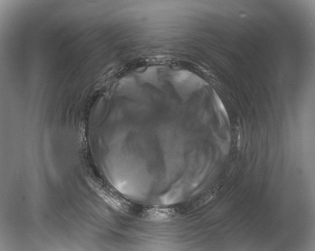 X0000080690711200701051100