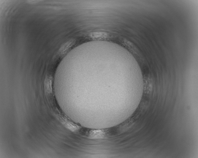 X0000080690717200701051100