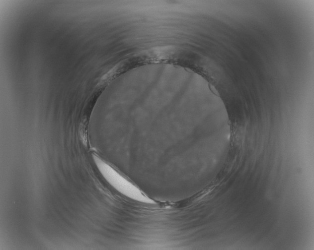 X0000080690719200701051100