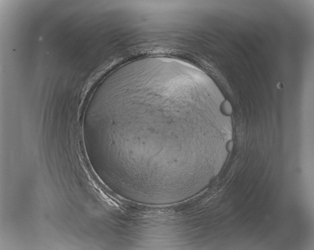 X0000080690721200701051059