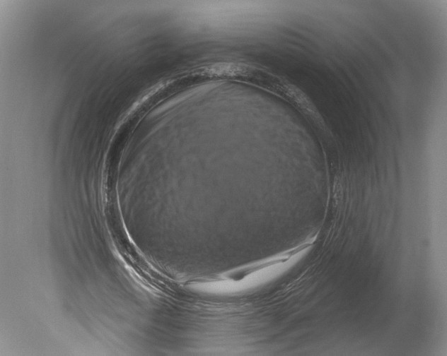 X0000080690722200701051059