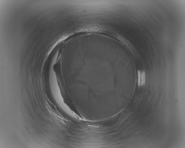 X0000080690723200701051059