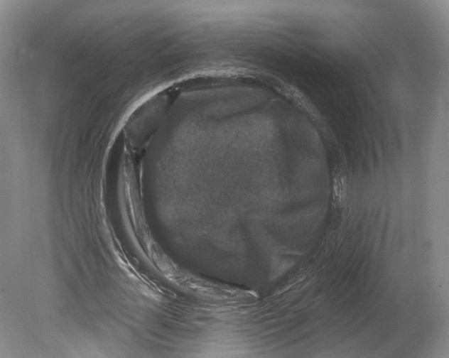 X0000080690724200701051059