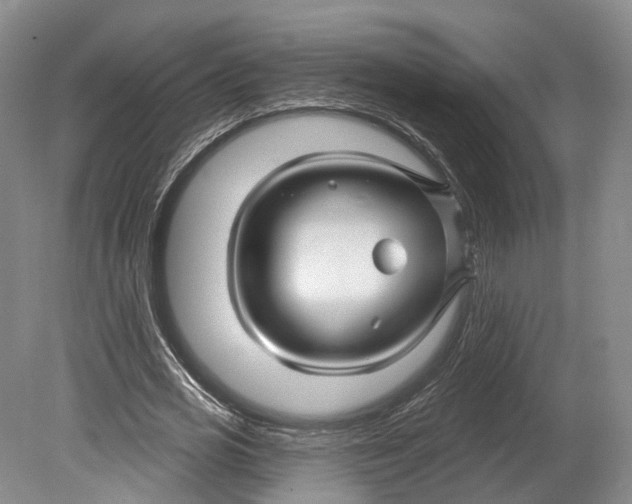 X0000080690725200701051059