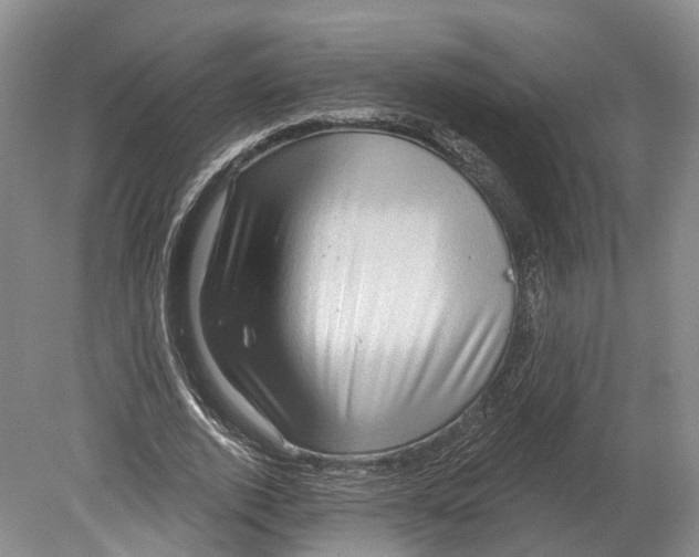 X0000080690728200701051059