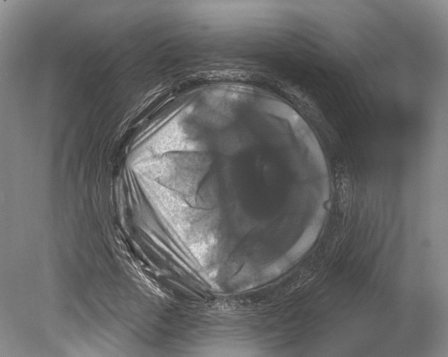 X0000080690729200701051059