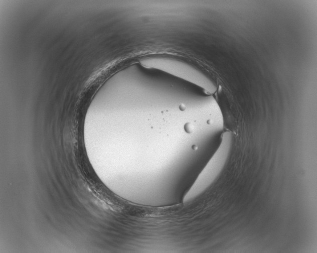 X0000080690732200701051059