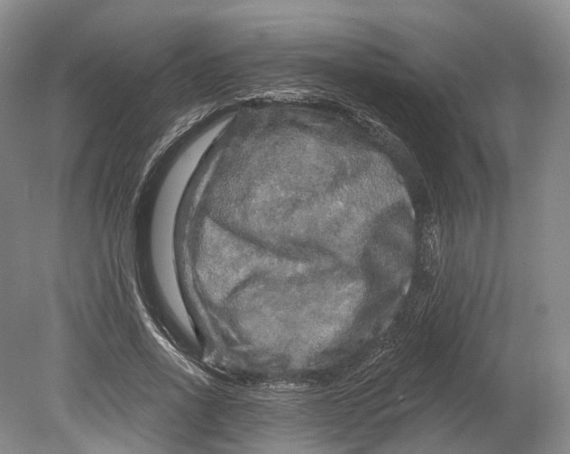 X0000080690734200701051059