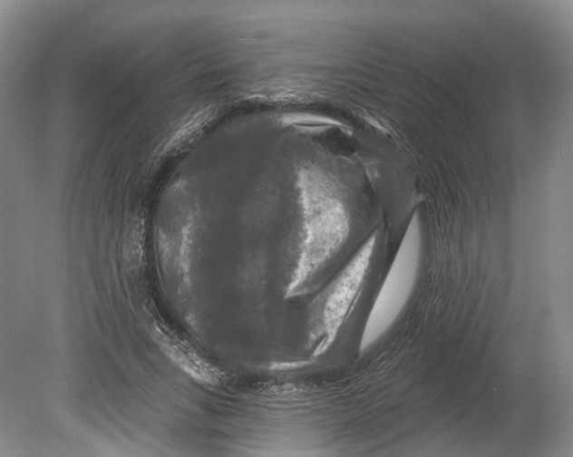 X0000080690735200701051059