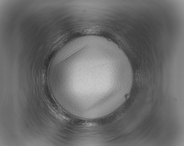 X0000080690741200701051059