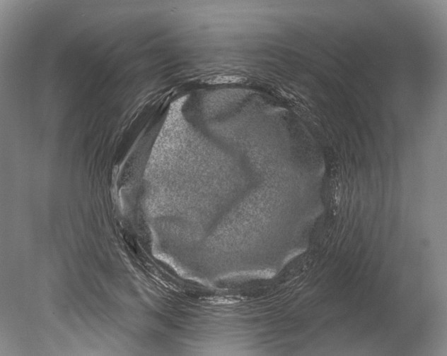 X0000080690743200701051059