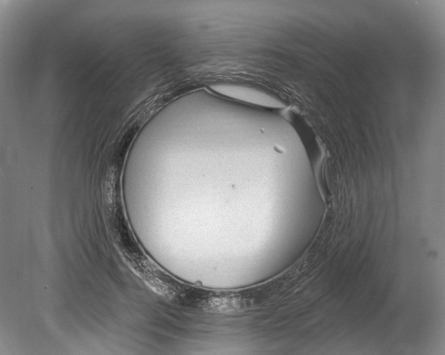 X0000080690744200701051100