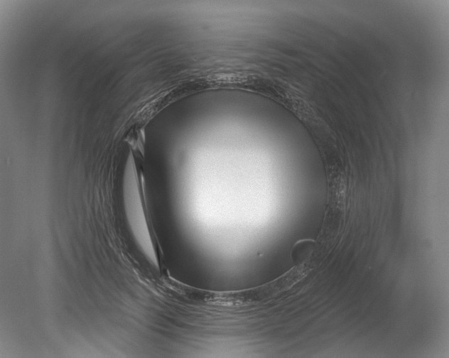 X0000080690746200701051100