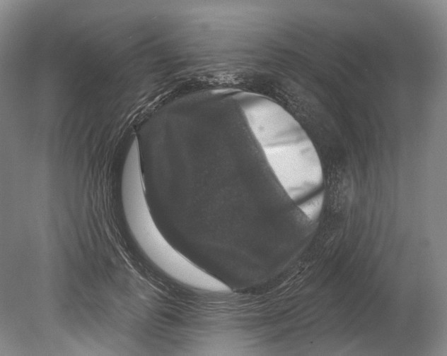 X0000080690747200701051100