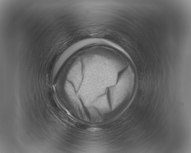 X0000080690748200701051100