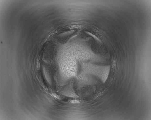 X0000080690751200701051100