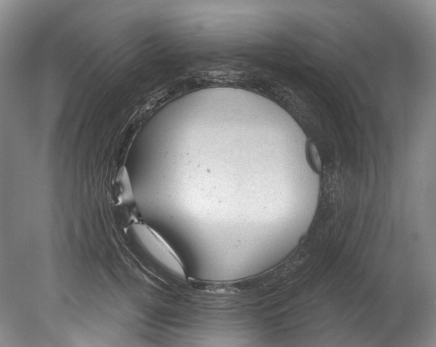 X0000080690752200701051100