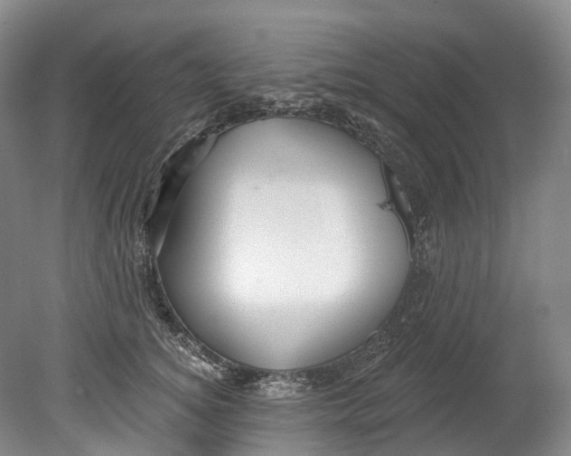 X0000080690756200701051100