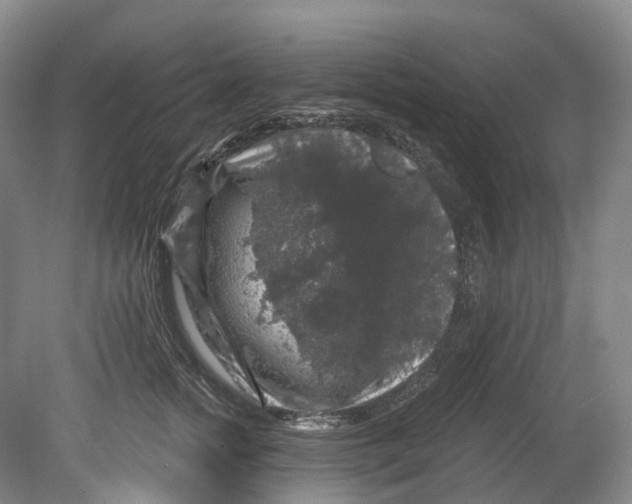 X0000080690758200701051100
