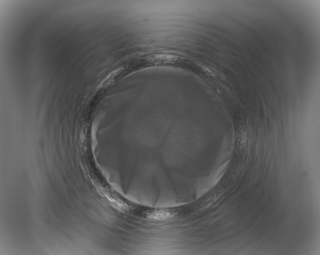 X0000080690759200701051100