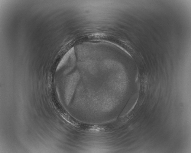 X0000080690760200701051100
